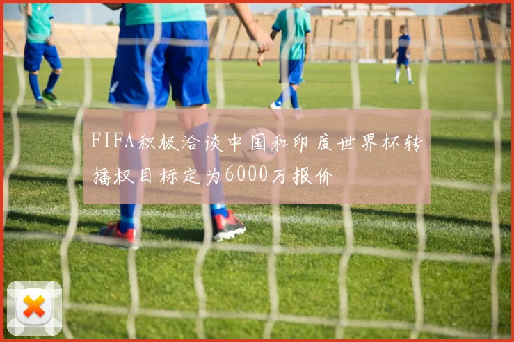 FIFA积极洽谈中国和印度世界杯转播权目标定为6000万报价