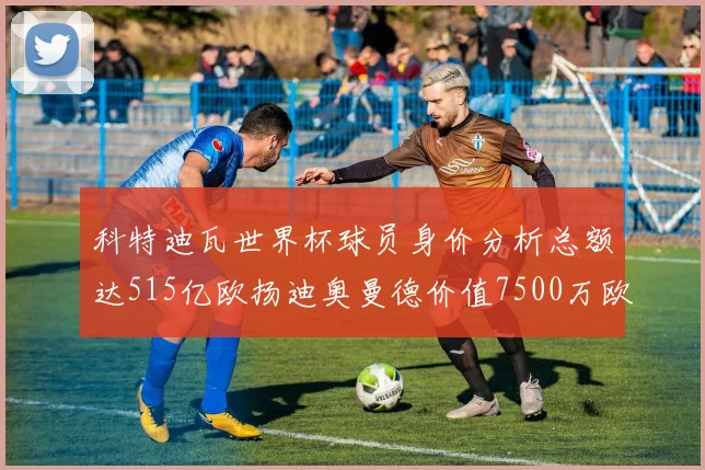 科特迪瓦世界杯球员身价分析总额达515亿欧扬迪奥曼德价值7500万欧