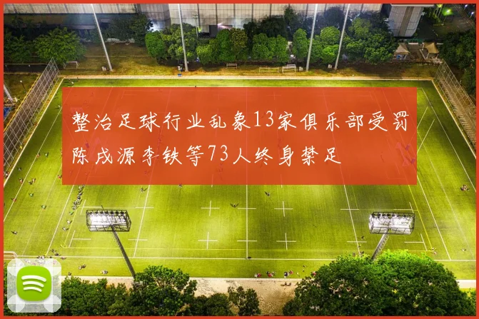 整治足球行业乱象13家俱乐部受罚陈戌源李铁等73人终身禁足